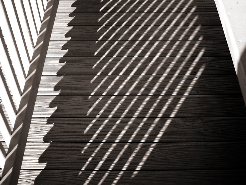 Shore Shadows 